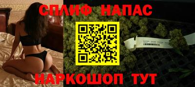 шишки Новозыбков
